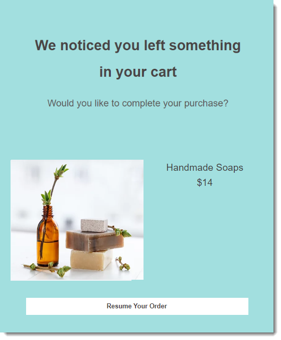 Tutorial] How To Quickly Code An Abandoned Cart Email