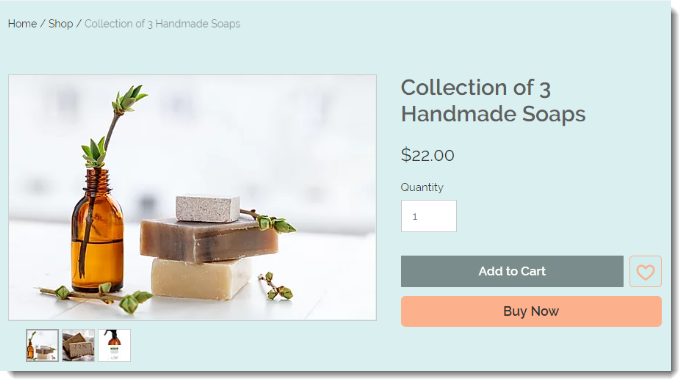 Screenshot of the Wix Stores Product Page