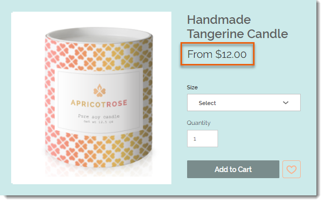 Screenshot of a sample product in a store with the price displayed as a price range as