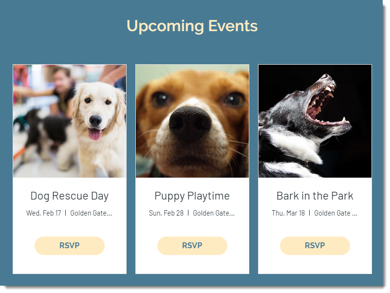 Wix Events About Wix Events Help Center