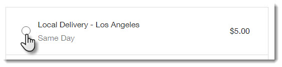 Screenshot of local delivery option at checkout in a Wix Store