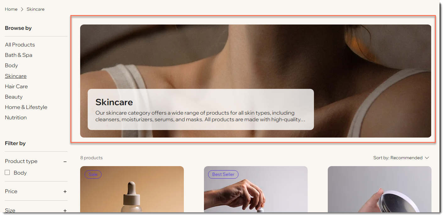 Captura de tela do cabeçalho da página de categoria em um site com loja Wix
