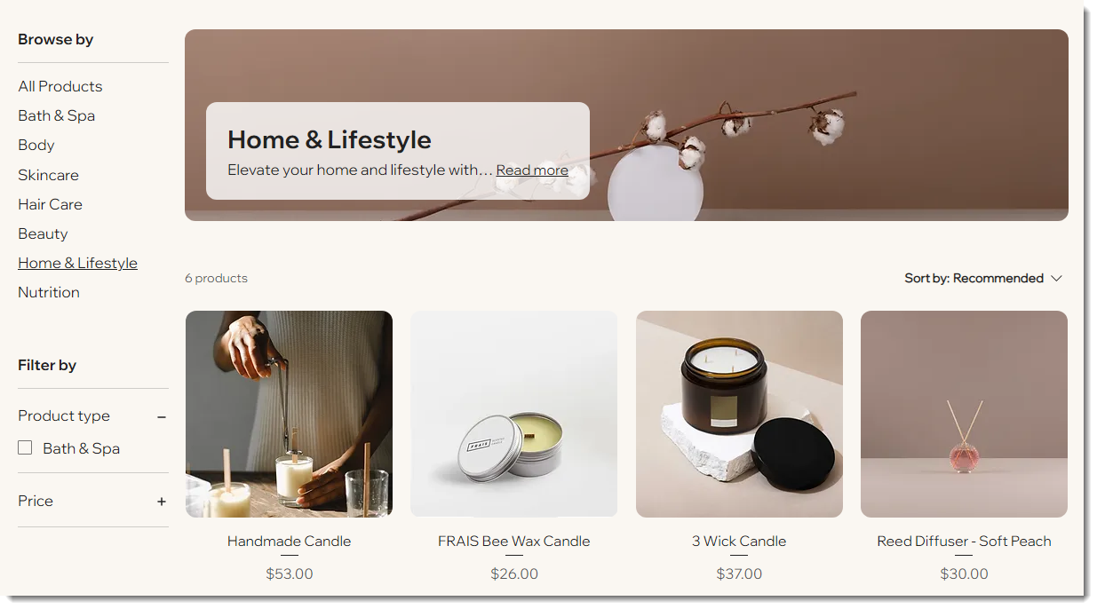 Screenshot of the Category Page in a Wix Store