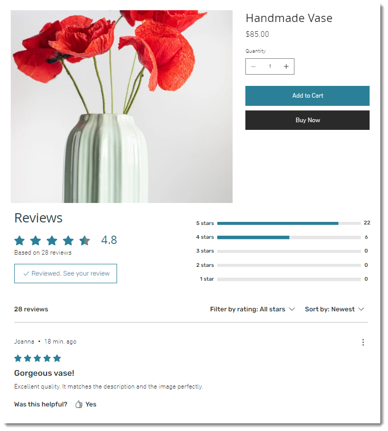 Screenshot of what the Wix Reviews plugin looks like on the Product Page