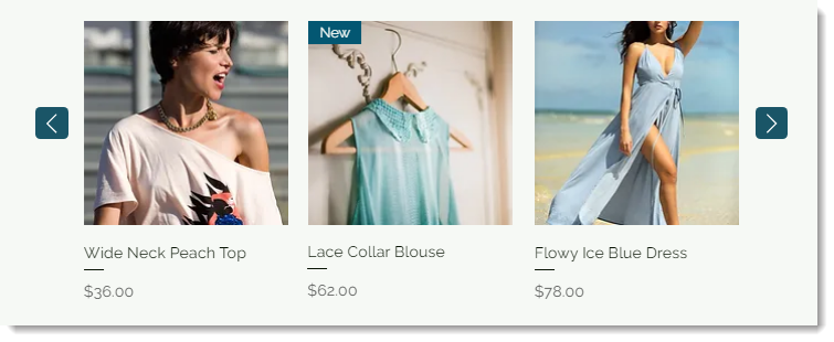 Screenshot of a Wix Stores slider gallery