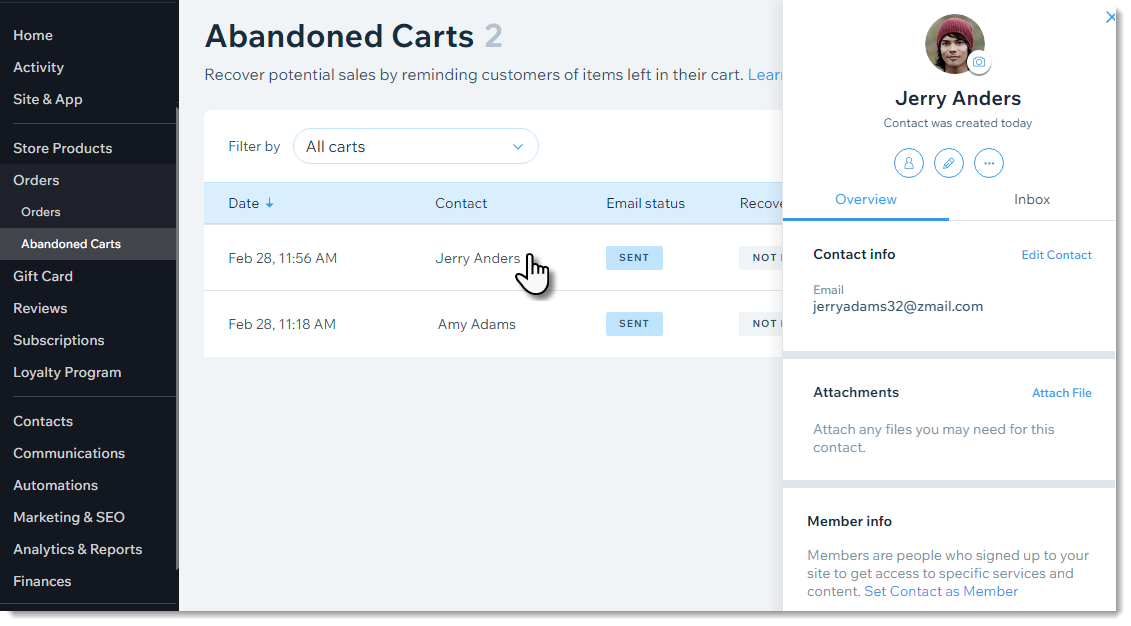 Screenshot of the Abandoned Carts tab in the Wix dashboard, after clicking to view a customer