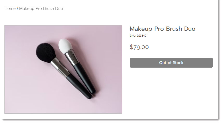 Screenshot of the Product Page where the Add to Cart button text displays Out of Stock instead