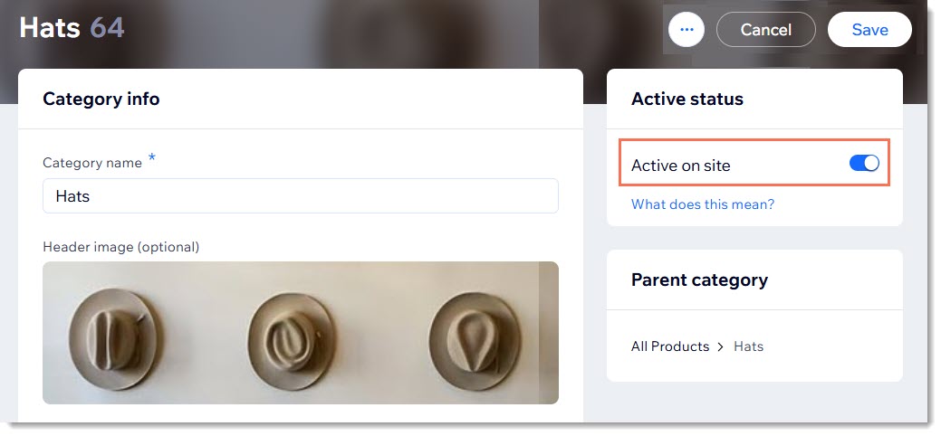Wix 類別索引標籤螢幕截圖，其中「在網站上顯示」切換開關已標示邊框