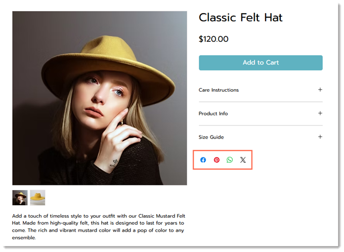 Screenshot of the Product page in a Wix store with the social share icons outlined