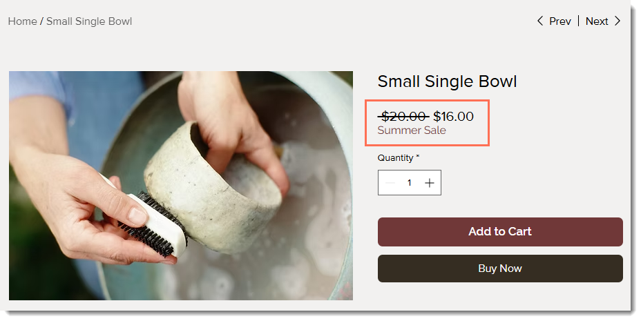 Screenshot of the Product Page with the discounted  outlined