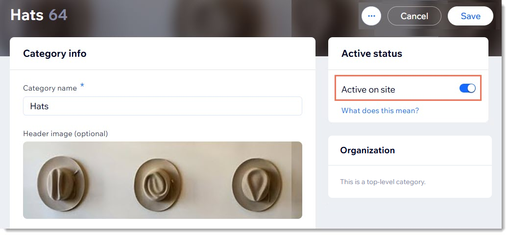 Скриншот вкладки Категория в Wix с выделенным переключателем Активно на сайте