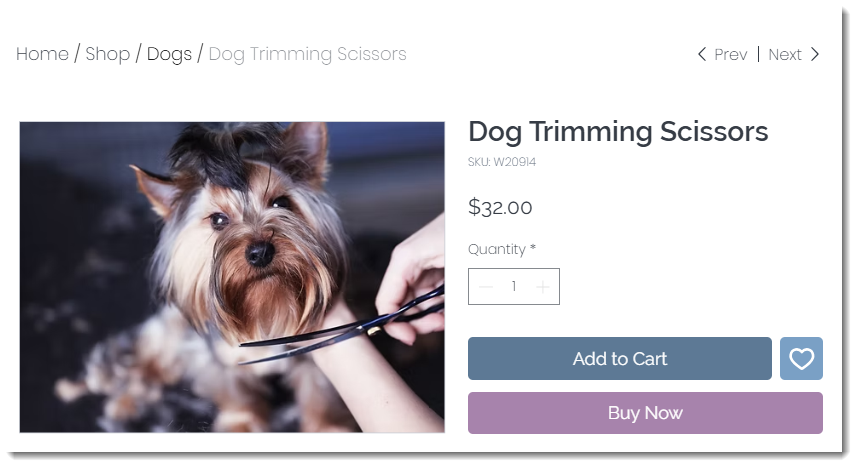 Screenshot of the product page on a sample site in a Wix store.