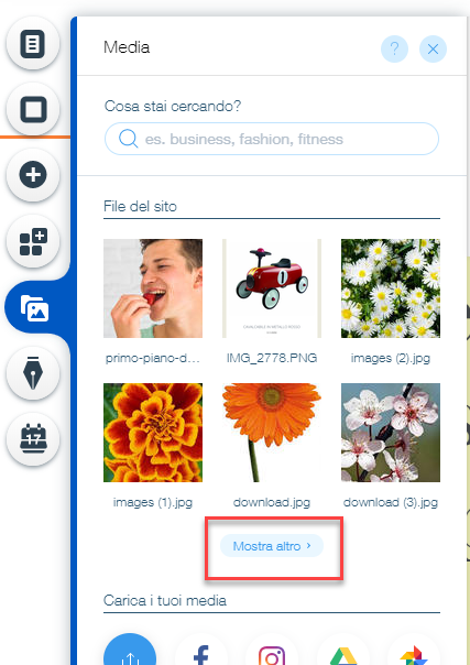SCARICA SITO FATTO CON WIX