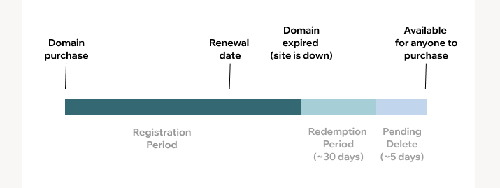 Bild des Domain-Lebenszyklus für eine Domain ohne Reservierungsfrist