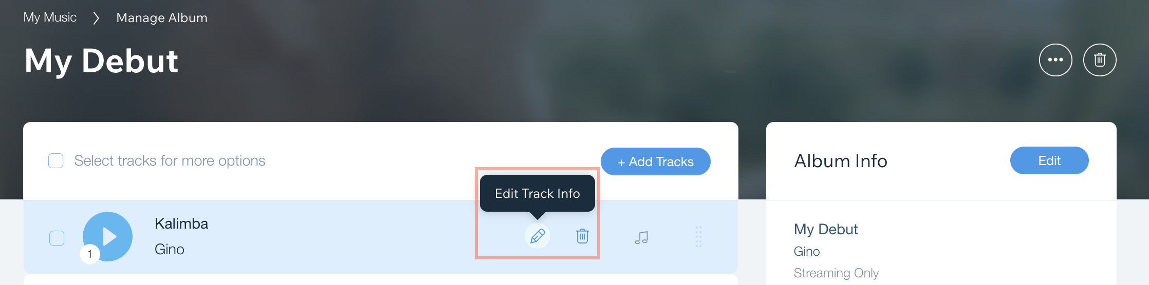 Image of track within an album selected