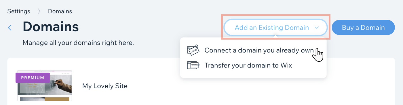 Image of Domains page with Add and Existing Domain clicked.