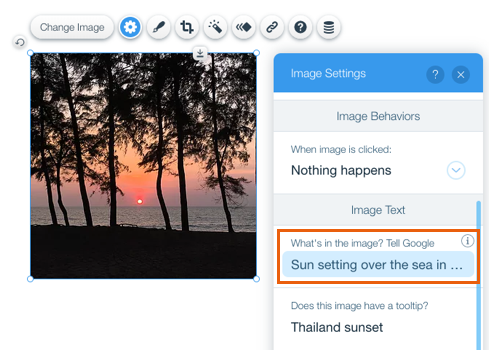 Wix Editör'de bir görüntüye alt metin ekleme.