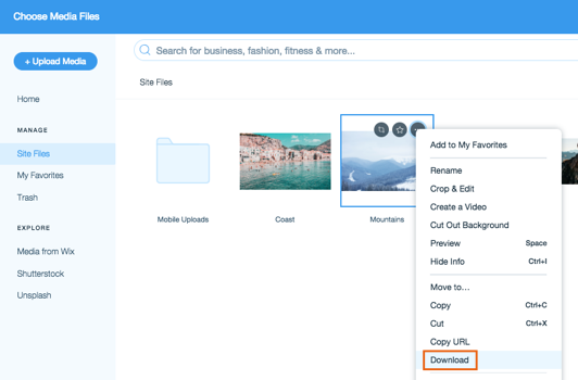 Wix Media Downloading Files From The Media Manager Help Center Wix Com