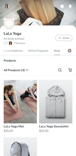 A screenshot showing the online store on the Fit by Wix app.