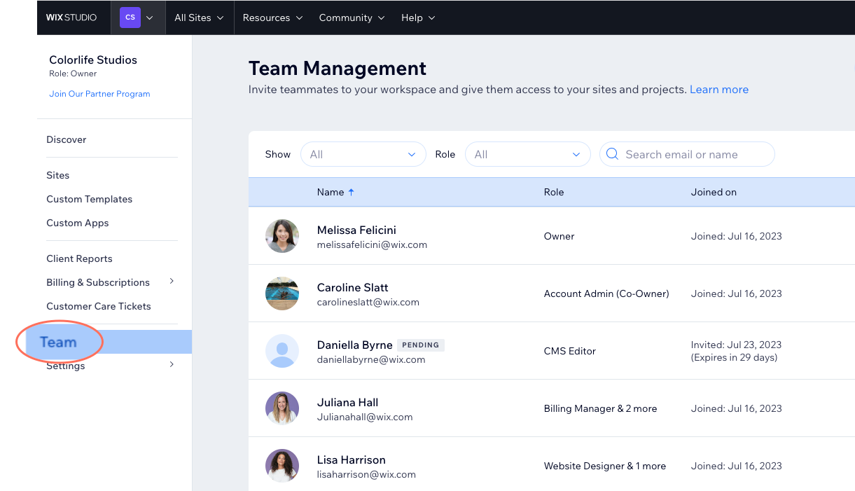 A screenshot of the team tab to manage your workspace team.