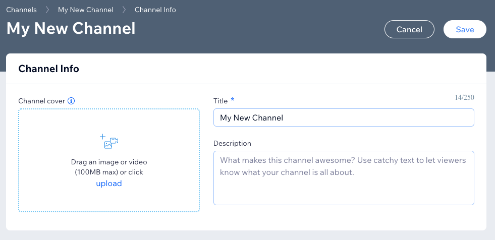 A screenshot showing the customization page of a newly created channel.