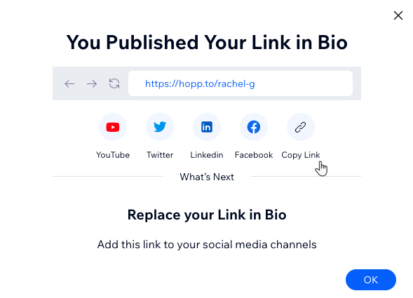 A screenshot showing a published Link in Bio URL that can be copied and added to your social profiles.