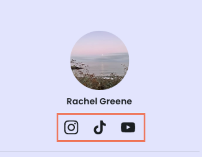 A screenshot showing a Link in Bio page with the social icons.