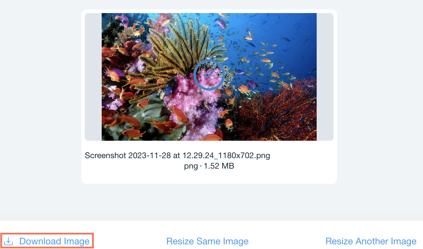 Screenshot, der den Button „Download Image (Bild herunterladen)“ zeigt, nachdem die Größe eines Bildes geändert wurde.
