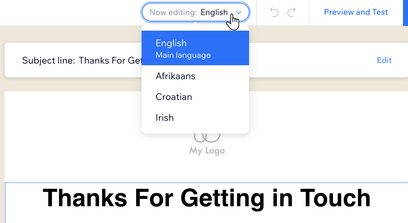 A screenshot showing the drop-down where you can switch between your site's languages.