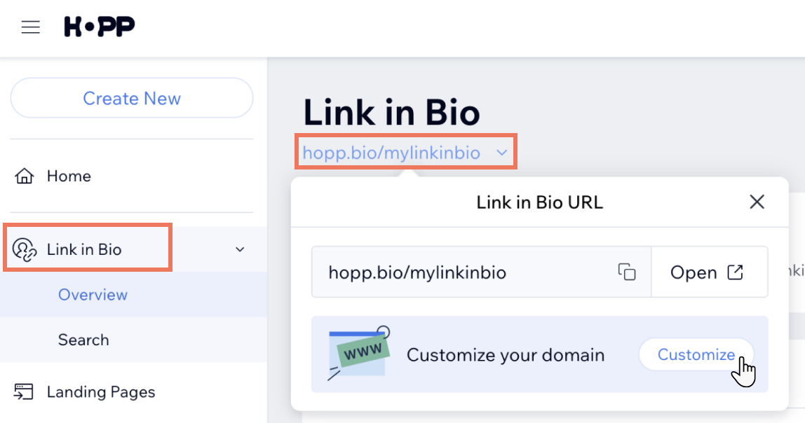 The Customize button you click in the Link in Bio area of the Hopp account in order to get a custom domain