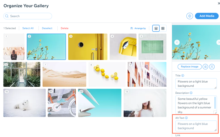 Adding alt text to an image in a gallery.