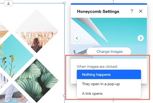 Selecting what happens when visitors click your image