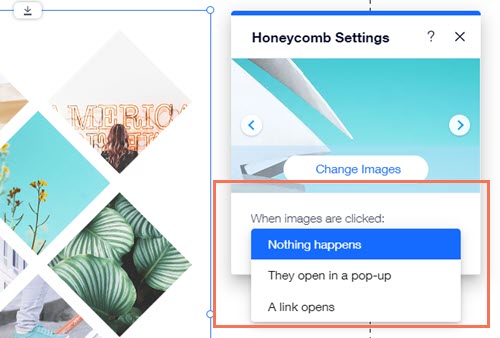  Lightbox Appearing In Your Image s URLs Help Center Wix
