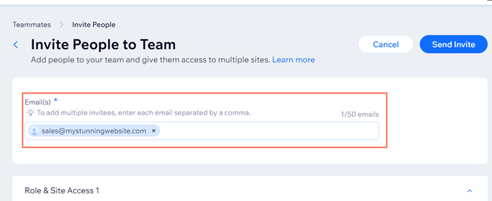 A screenshot of adding an email address to invite someone to your team