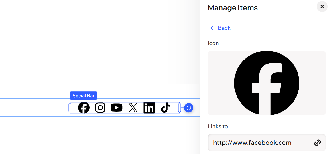 הוספת לינק לאייקון בסרגל הרשתות החברתיות בחלונית Manage Items