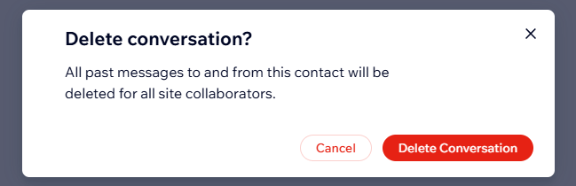 Screenshot del pop-up Elimina conversazione
