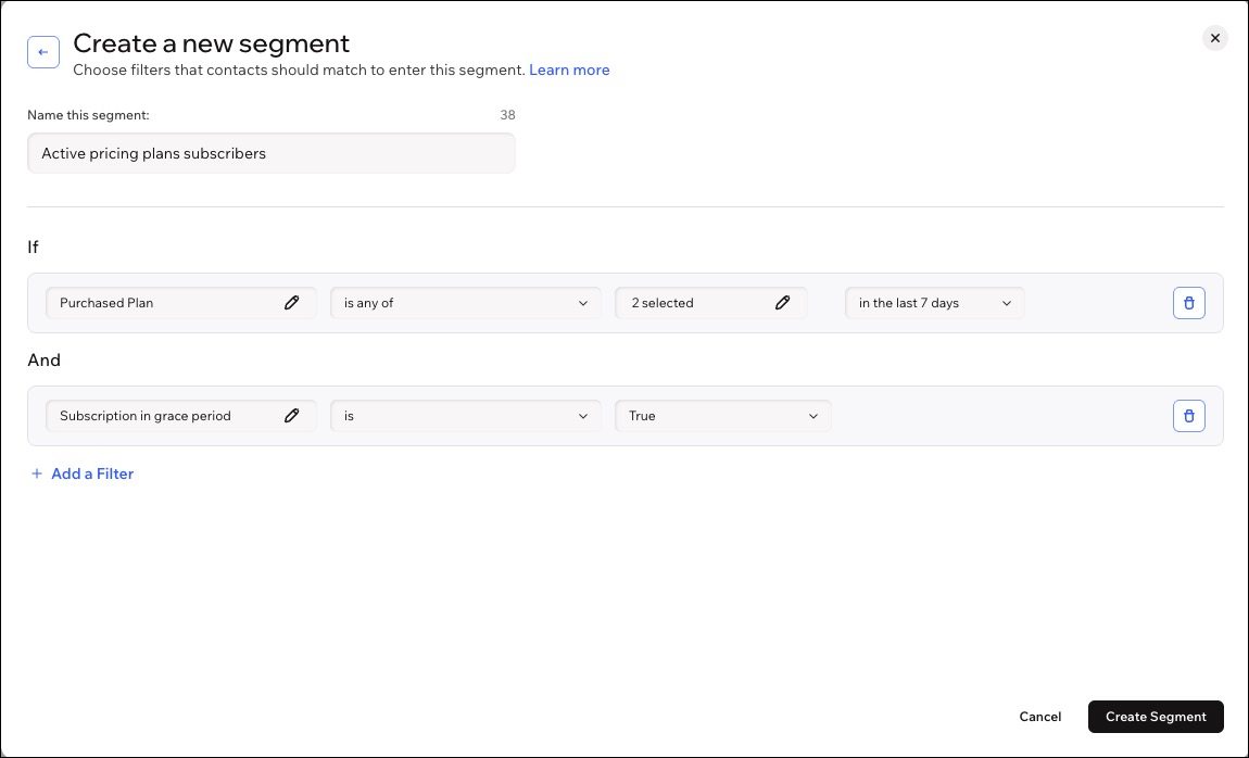 A screenshot of creating a segment with filters for Pricing Plans Subscribers.