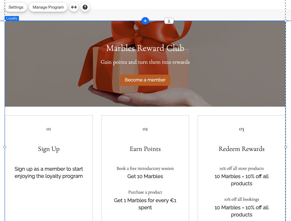 A screenshot of a Loyalty Program page in the Editor.