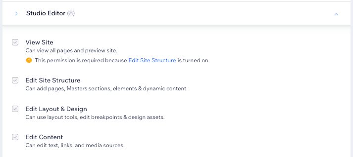 Uma captura de tela das permissões do Editor do Wix Studio.