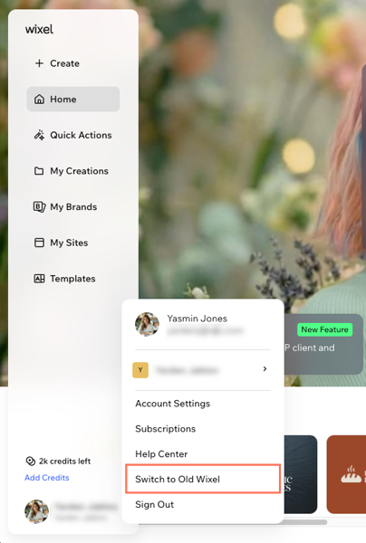 A screenshot highlighting how to switch between Wixel versions.