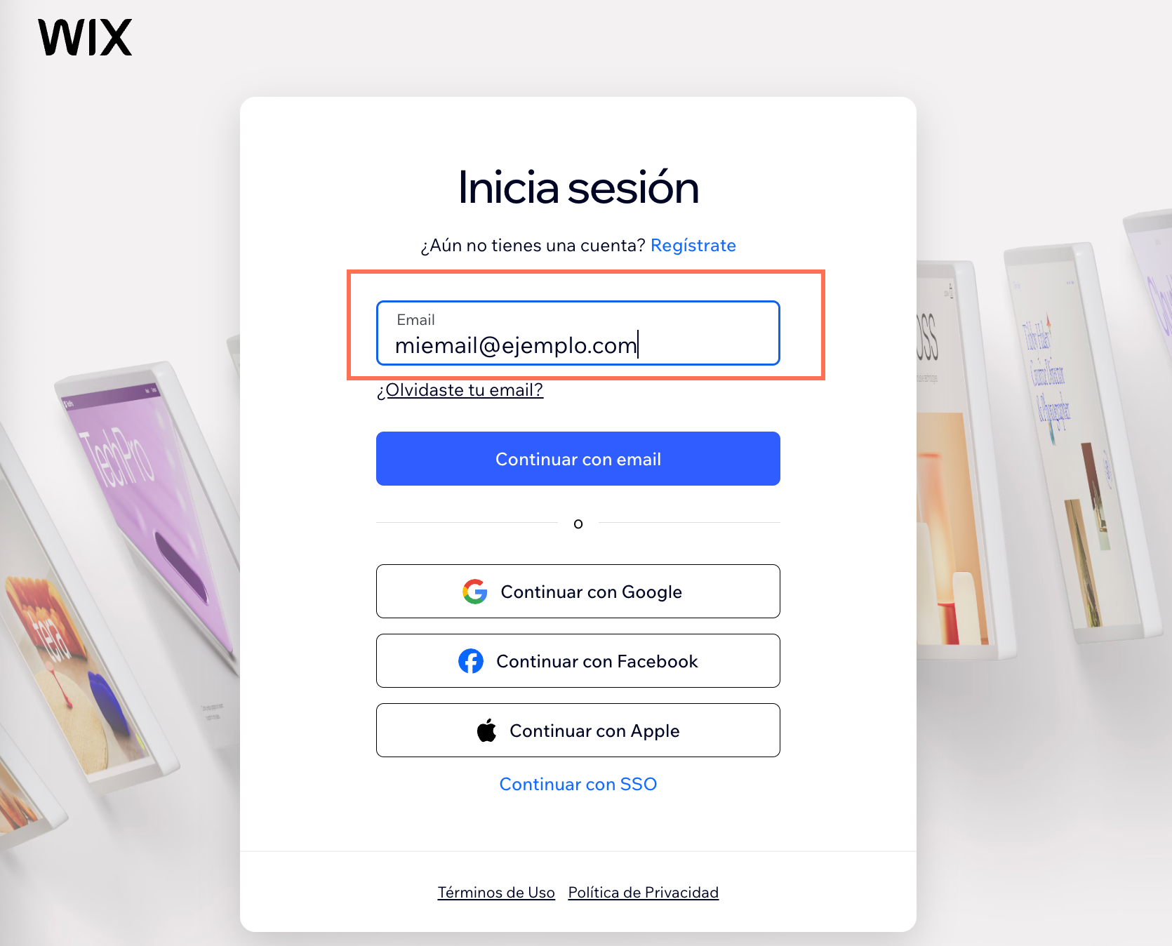 Captura de pantalla de inicio de sesión. El campo Email está resaltado