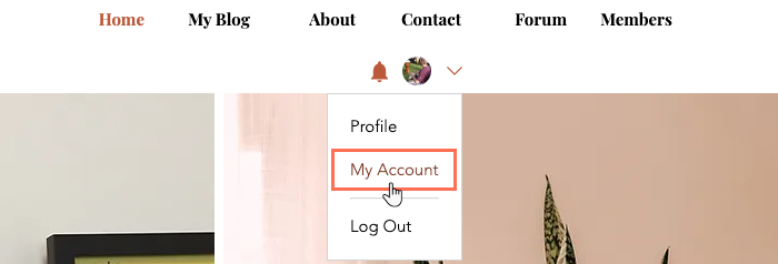 A screenshot of the profile bar on a live site and the option for My Account.