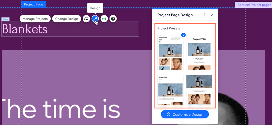 A screenshot of the Project Page preset designs.