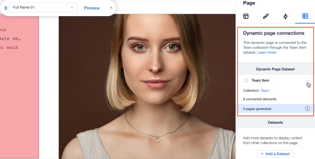 Screenshot di un dataset di una pagina dinamica