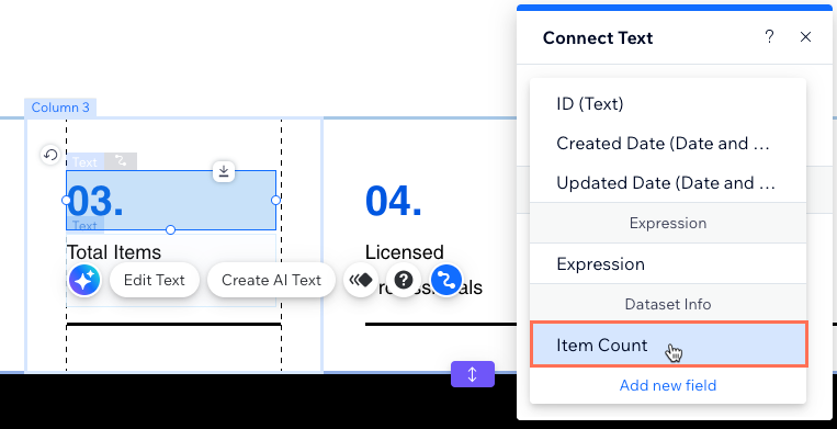 A screenshot of selecting the Item Count when connecting a text element to a dataset.