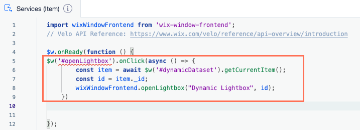 A screenshot of pasting the second snippet of code in the dynamic item page's code.