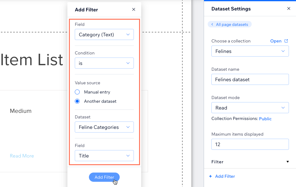 Screenshot dell'aggiunta di un filtro al dataset