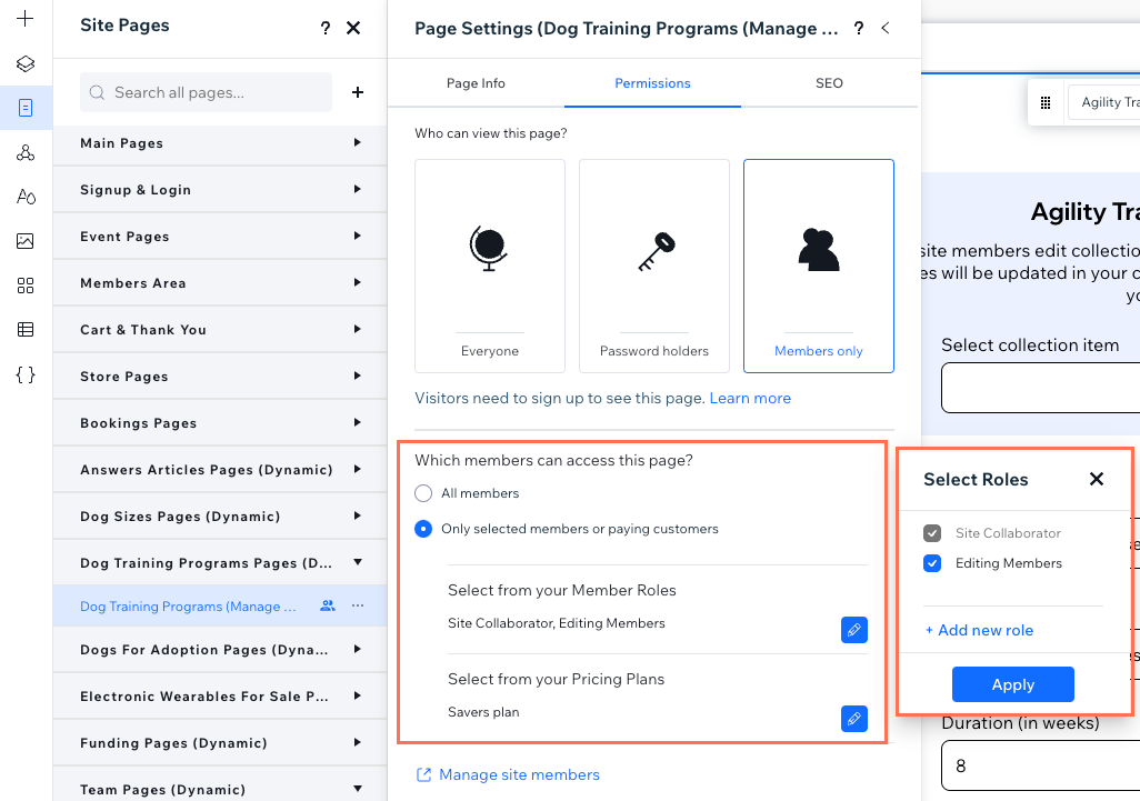 Captura de tela das permissões da página sendo configuradas para permitir membros selecionados ou clientes pagantes.