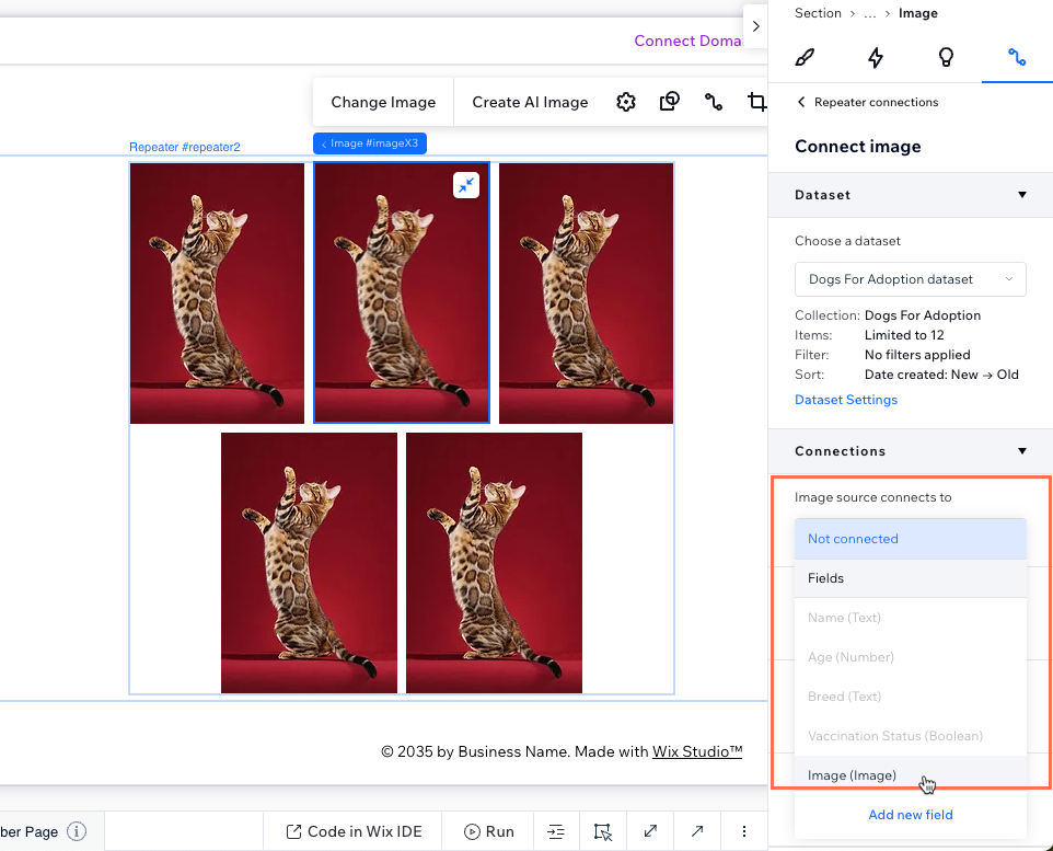 Capture d'écran de la connexion de la source d'image au système de gestion de contenu (CMS).