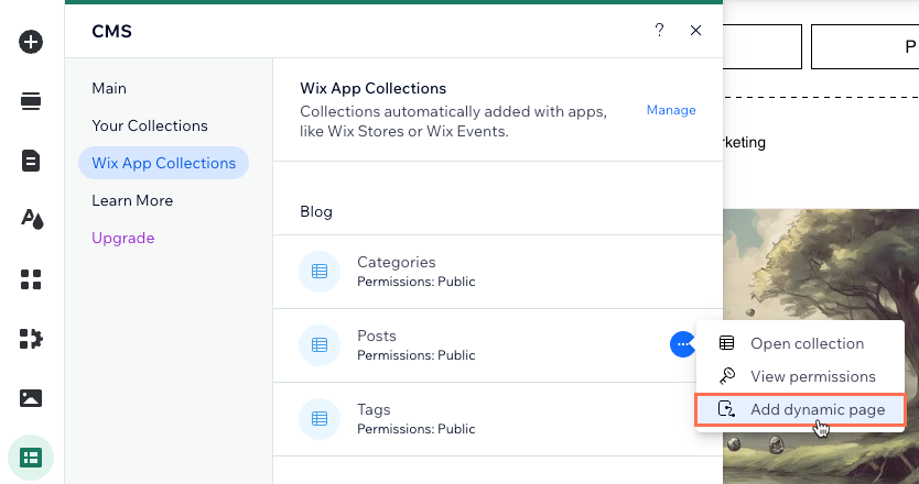 Screenshot of adding a dynamic page for a Posts Wix app collection.